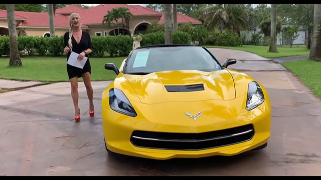 Lifestyle Videos
